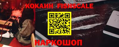 гашик Кингисепп