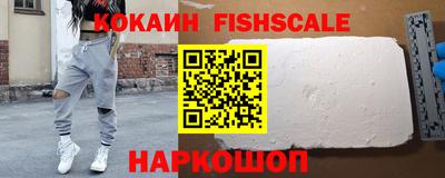 гашик Кингисепп
