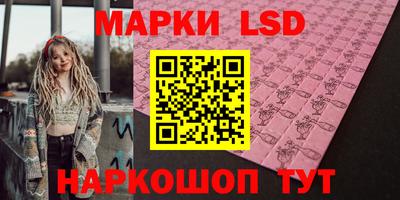 гашик Кингисепп