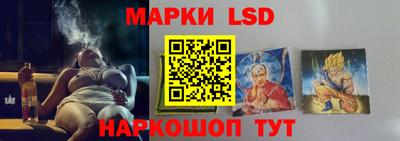 гашик Кингисепп