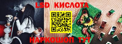 гашик Кингисепп