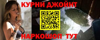 гашик Кингисепп