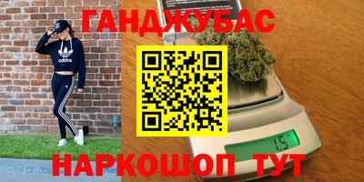 гашик Кингисепп