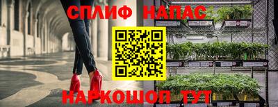 ECSTASY Кимры