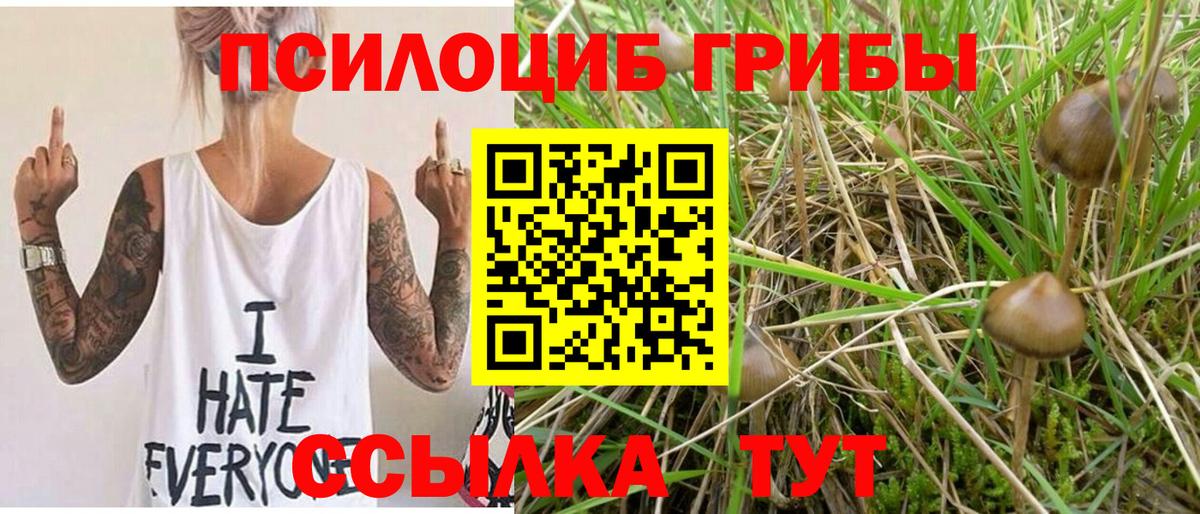Псилоцибиновые грибы прущие грибы  Галлюциногенные грибы ЛСД  Зима  Вход с VPN 